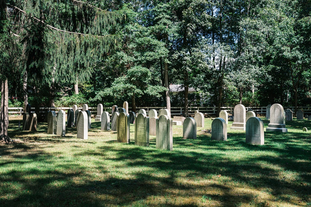 découvrez l'histoire et les origines de votre famille avec family roots, votre outil pour explorer et préserver votre arbre généalogique.